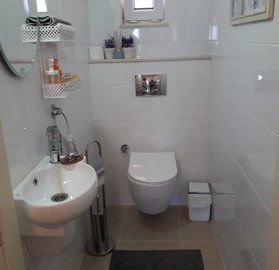 Sea & Nature View Property In Kusadasi For Sale - Guest toilet
