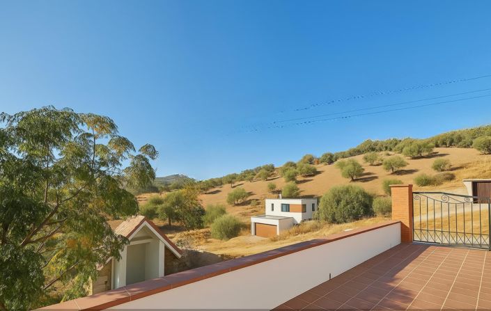 Image No.24-3 Bed House for sale