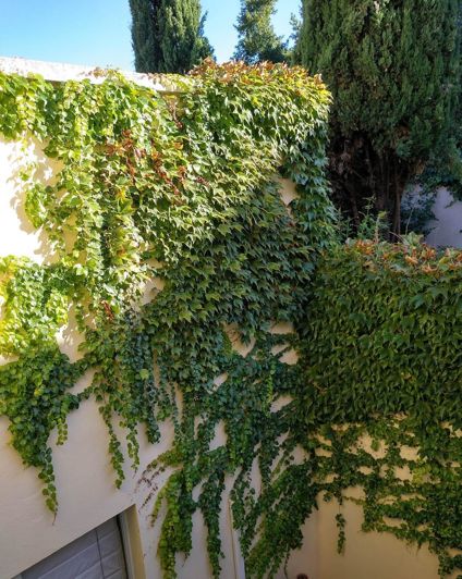 Image No.25-3 Bed Semi-Detached for sale