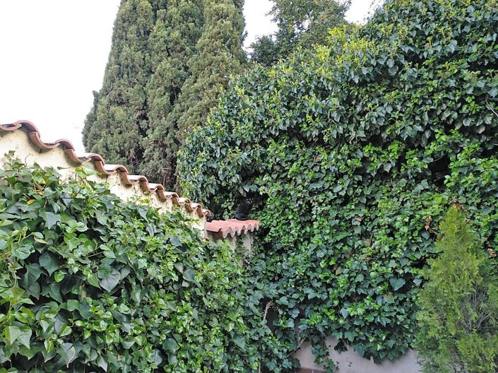 Image No.26-3 Bed Semi-Detached for sale