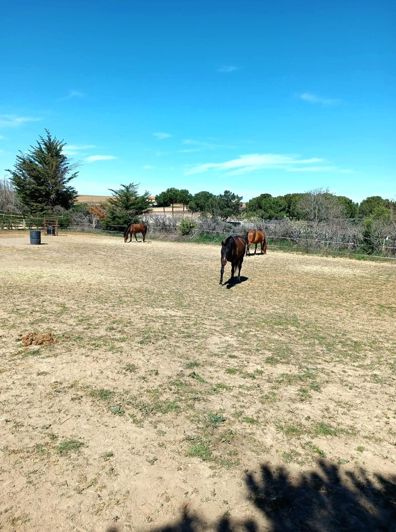 Image No.45-1 Bed House for sale