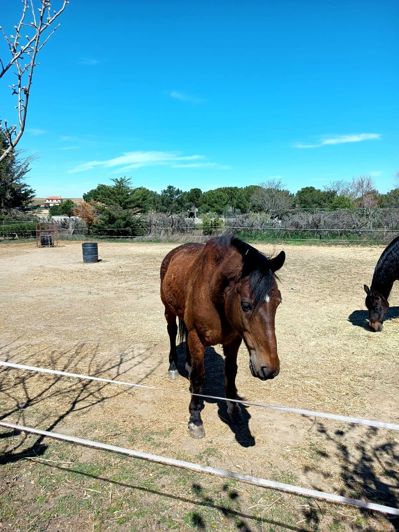 Image No.46-1 Bed House for sale