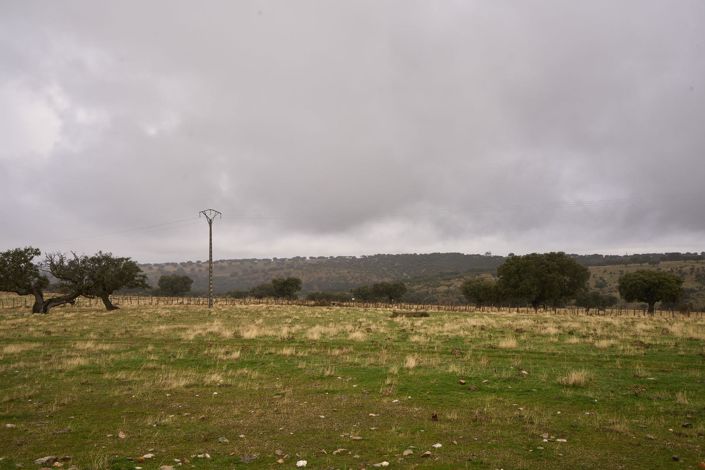 Image No.44-5 Bed Country House for sale