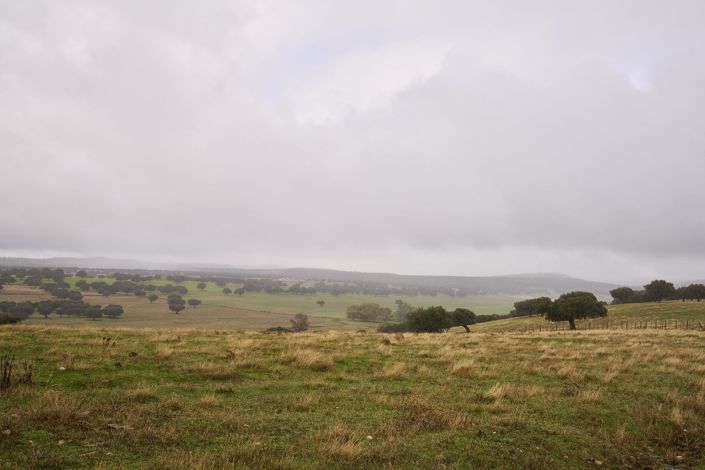 Image No.47-Maison de campagne de 5 chambres à vendre à Horcajo Medianero