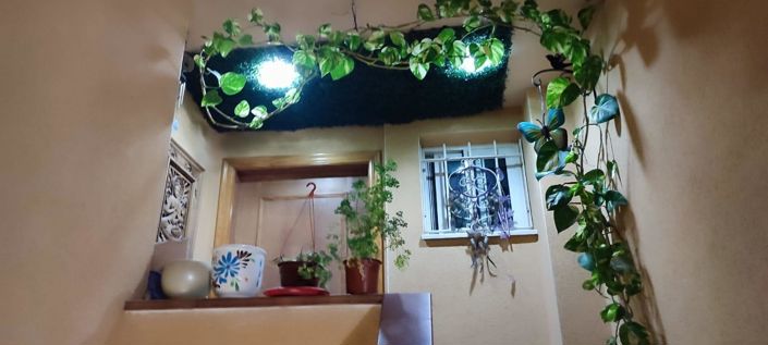 Image No.3-Propriété de 4 chambres à vendre à Mutxamel