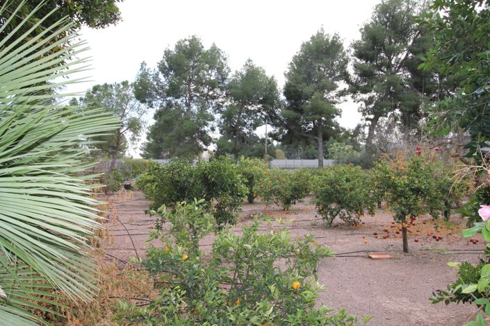 Image No.13-4 Bed Villa for sale