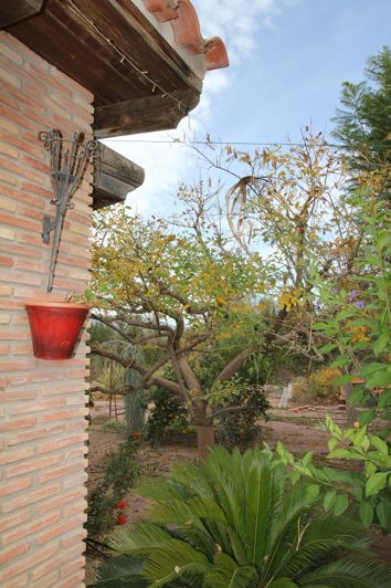 Image No.20-4 Bed Villa for sale