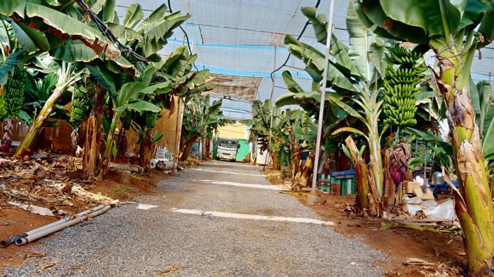 Image No.4-5 Bed Property for sale