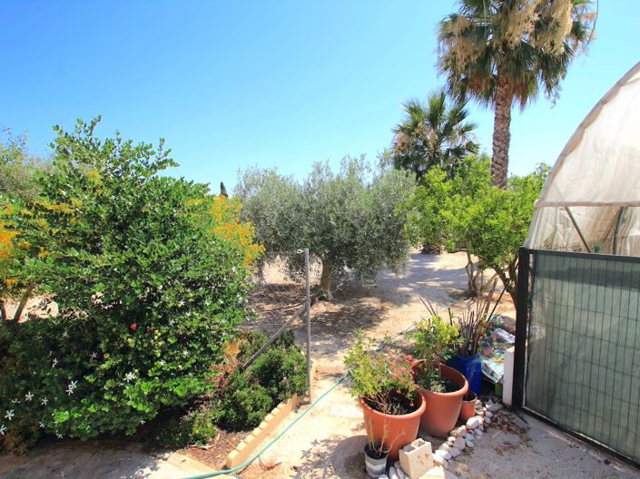 Image No.29-3 Bed Finca for sale