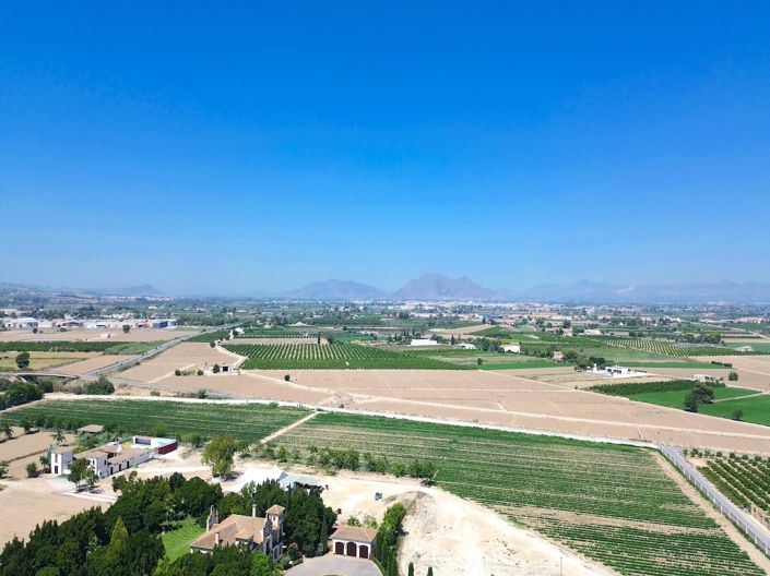 Image No.30-3 Bed Finca for sale