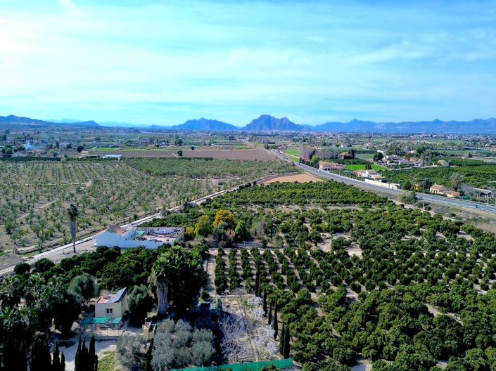 Image No.40-3 Bed Finca for sale