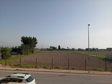 IMG_20250617_090532