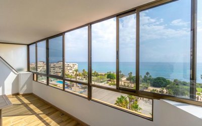 resale-penthouse-top-floor-torrevieja-cabo-cervera_141261_xl