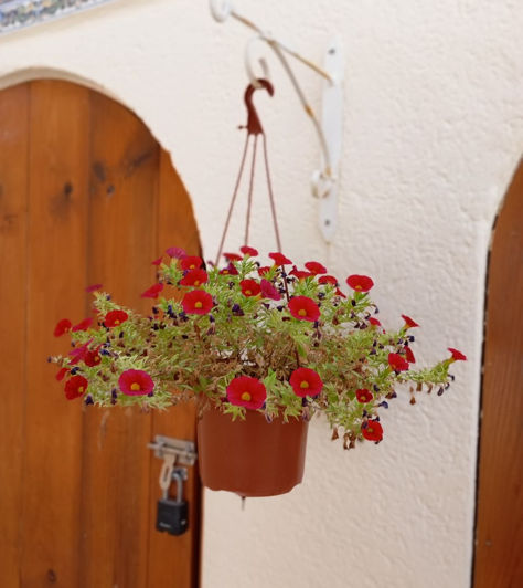 Image No.37-Villa de 3 chambres à vendre à Villamartin