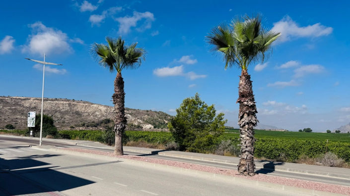 Image No.25-2 Bed Apartment for sale