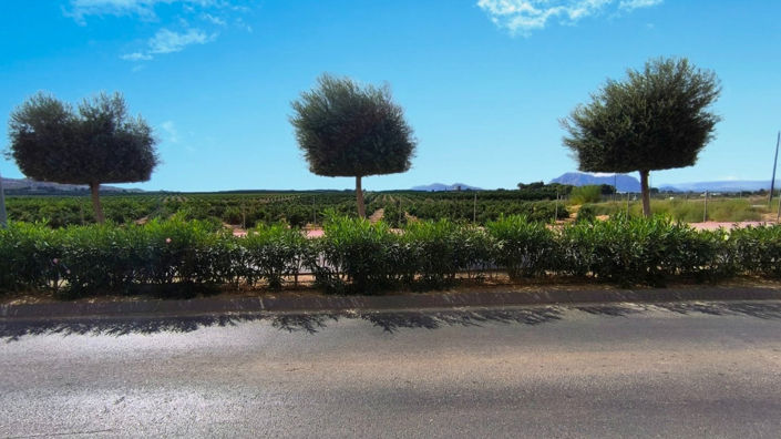 Image No.16-2 Bed Apartment for sale