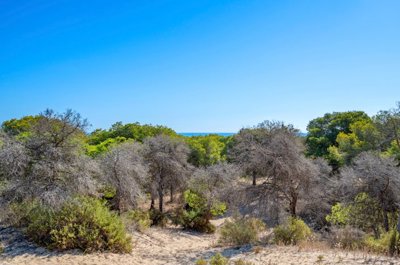 Citrine Real Estate most sold property
