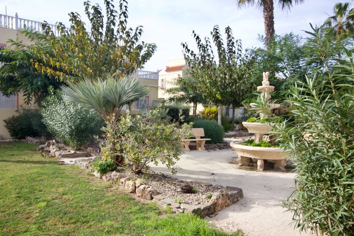 Image No.60-Propriété de 3 chambres à vendre à Algorfa