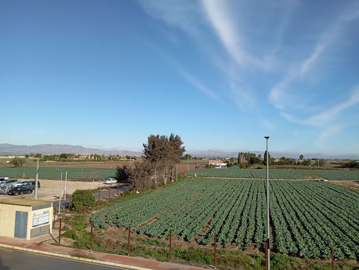 Image No.22-Duplex de 2 chambres à vendre à Daya Vieja