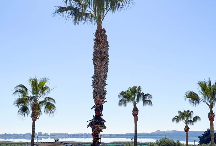 Image No.30-Villa de 5 chambres à vendre à Ciudad Quesada