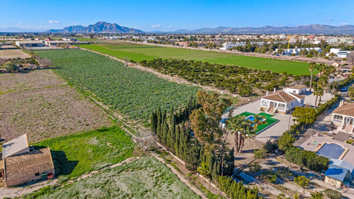 Image No.34-4 Bed Finca for sale