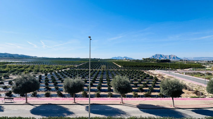 Image No.18-Appartement de 2 chambres à vendre à Algorfa