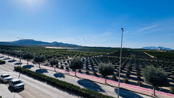 Image No.20-Appartement de 2 chambres à vendre à Algorfa