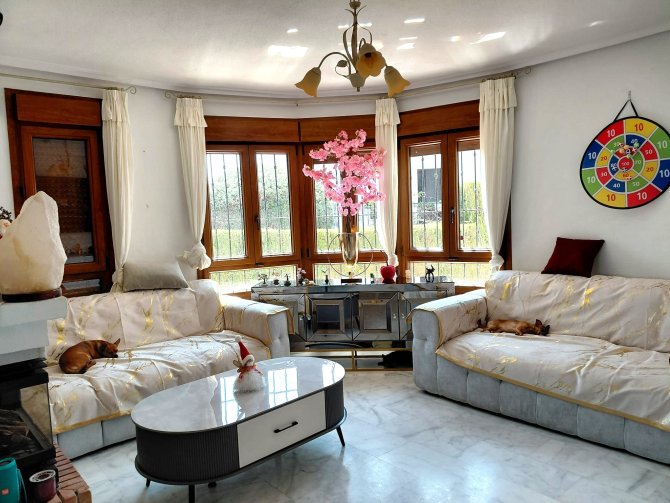 Image No.4-Villa de 5 chambres à vendre à Algorfa