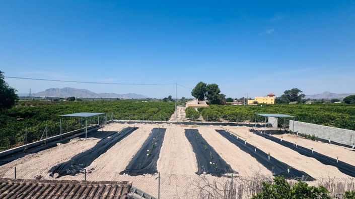 Image No.19-4 Bed Finca for sale