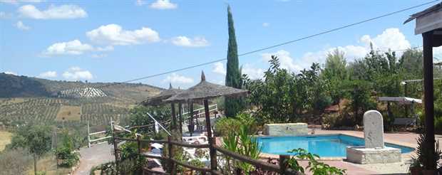 Image No.10-Propriété de 14 chambres à vendre à Guaro