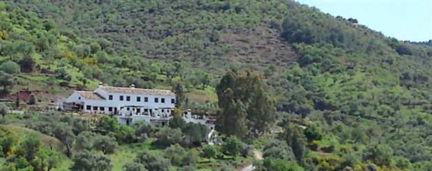 Image No.2-Propriété de 14 chambres à vendre à Guaro