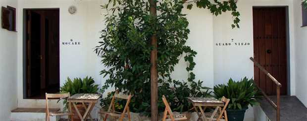 Image No.7-Propriété de 14 chambres à vendre à Guaro