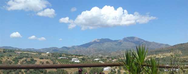 Image No.8-Propriété de 14 chambres à vendre à Guaro