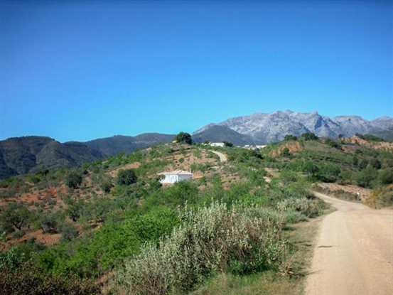 Image No.1-Propriété à vendre à Tolox