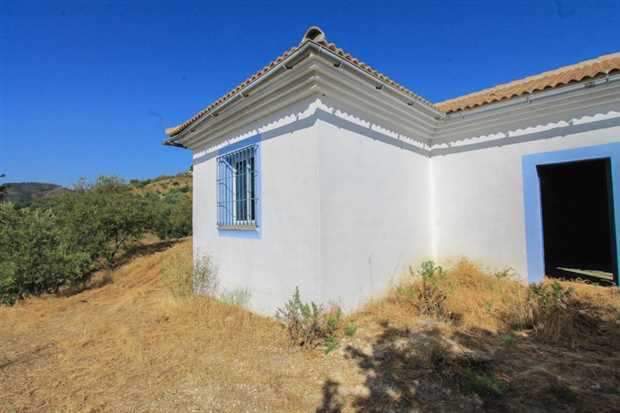 Image No.11-Propriété à vendre à Tolox