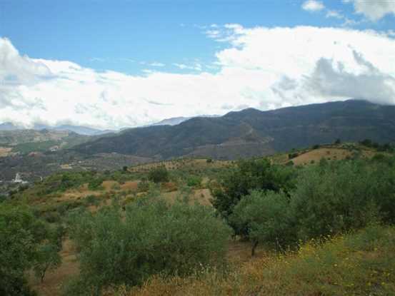 Image No.19-Propriété à vendre à Tolox