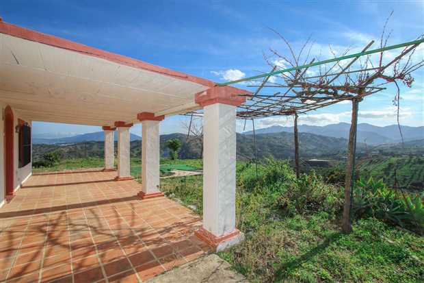 Image No.7-Propriété de 3 chambres à vendre à Guaro