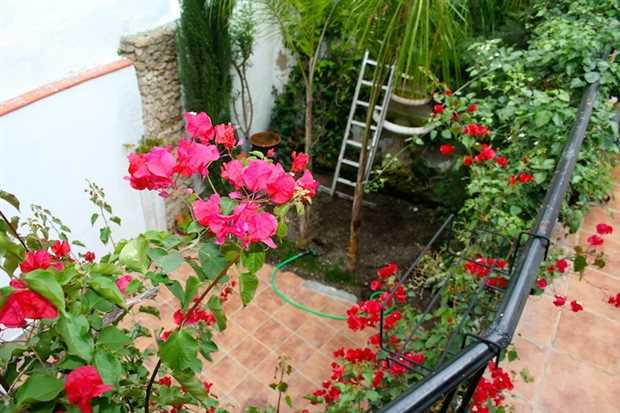 Image No.2-Propriété de 4 chambres à vendre à Coin