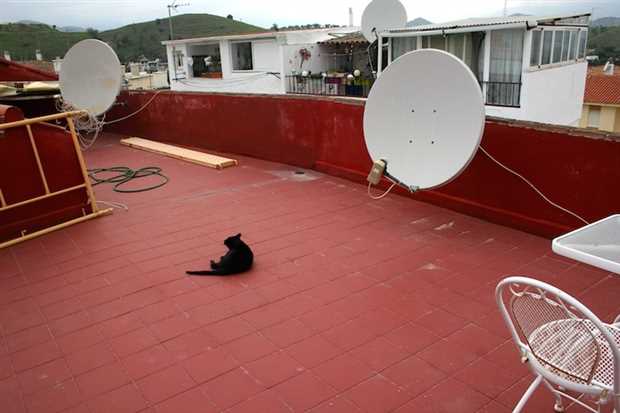 Image No.23-Propriété de 4 chambres à vendre à Coin