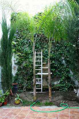 Image No.3-Propriété de 4 chambres à vendre à Coin