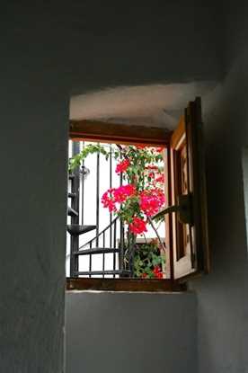 Image No.9-Propriété de 4 chambres à vendre à Coin