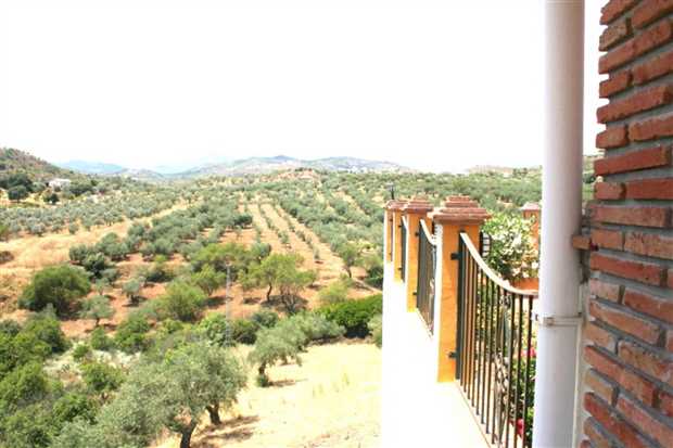 Image No.11-Propriété de 4 chambres à vendre à Guaro