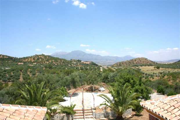 Image No.25-Propriété de 4 chambres à vendre à Guaro