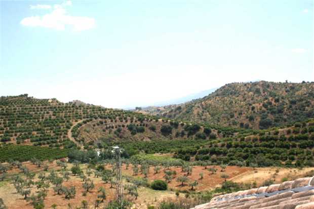 Image No.27-Propriété de 4 chambres à vendre à Guaro