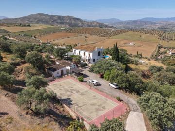 Grapevine Properties SL most sold property