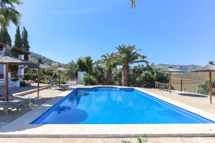 Image No.24-7 Bed Hotel for sale