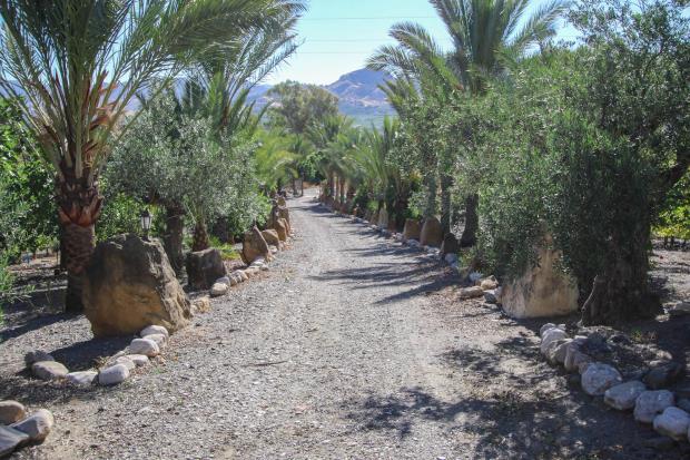 Image No.26-3 Bed Villa / Detached for sale