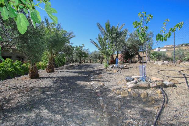 Image No.20-3 Bed Villa / Detached for sale