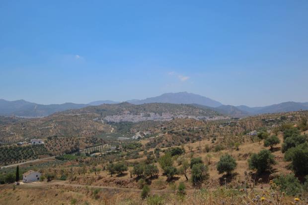 Image No.7-Appartement de 2 chambres à vendre à Guaro