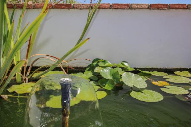 Image No.24-Maison / Villa de 3 chambres à vendre à Tolox